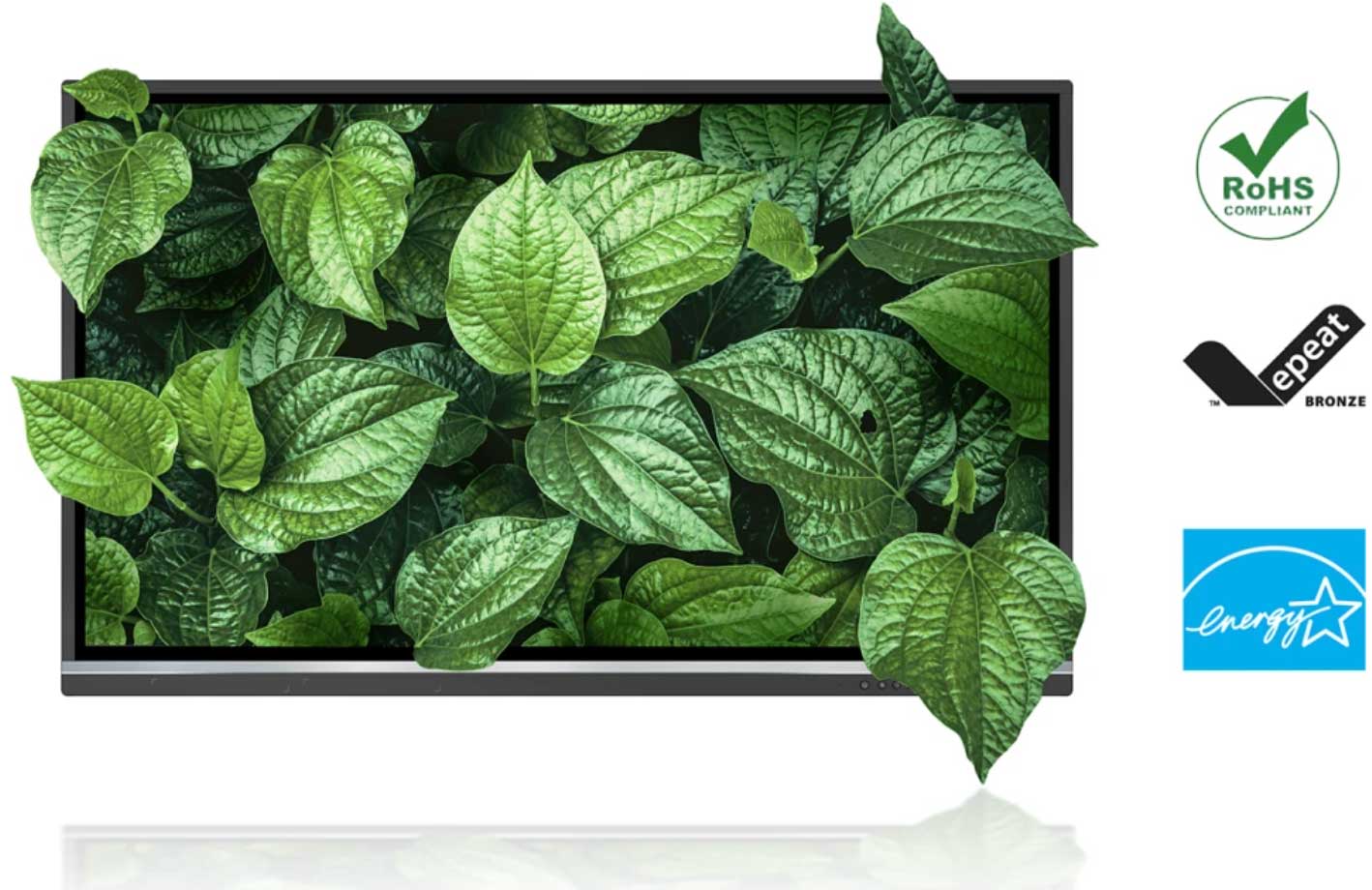 ViewSonic IFP50-5 Series Green